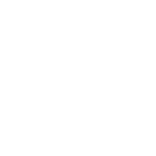 Nursdoc - Commercial Flight Medical Escorts